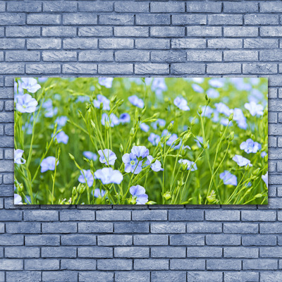 Acrylglasbilder Blumen Gras Natur