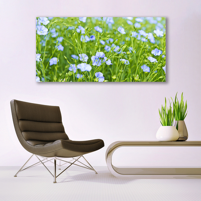 Acrylglasbilder Blumen Gras Natur