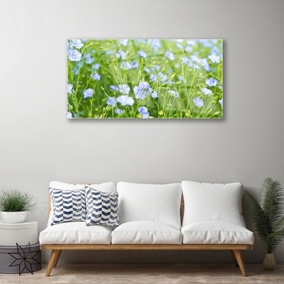 Acrylglasbilder Blumen Gras Natur