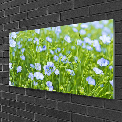 Acrylglasbilder Blumen Gras Natur