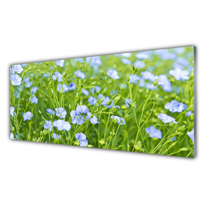 Acrylglasbilder Blumen Gras Natur