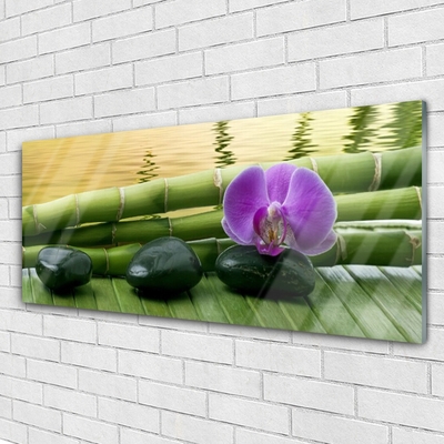 Acrylglasbilder Blume Steine Bambusrohre Pflanzen