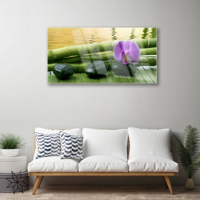 Acrylglasbilder Blume Steine Bambusrohre Pflanzen