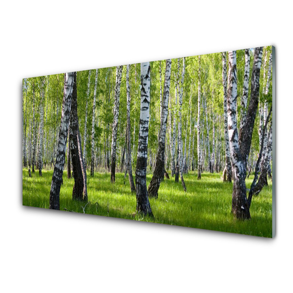 Acrylglasbilder Wald Natur