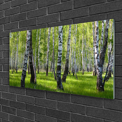 Acrylglasbilder Wald Natur