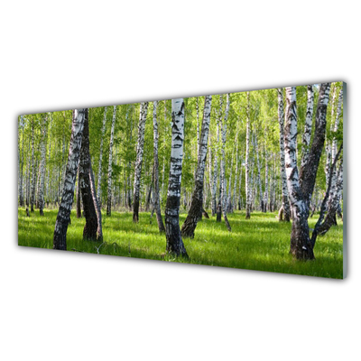 Acrylglasbilder Wald Natur