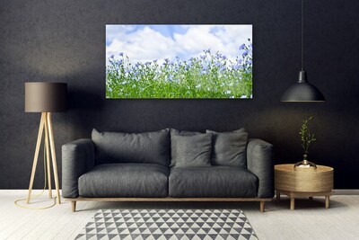 Acrylglasbilder Blumen Natur