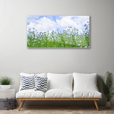 Acrylglasbilder Blumen Natur