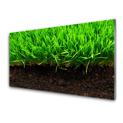 Acrylglasbilder Gras Natur