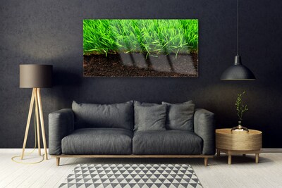 Acrylglasbilder Gras Natur
