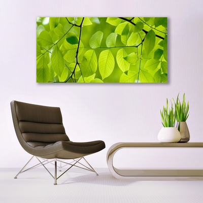 Acrylglasbilder Blätter Natur