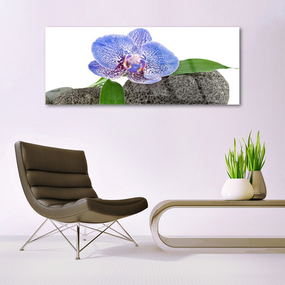 Acrylglasbilder Blume Pflanzen