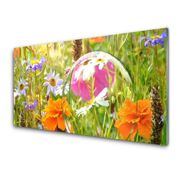 Acrylglasbilder Blumen Natur