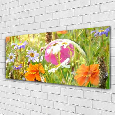 Acrylglasbilder Blumen Natur