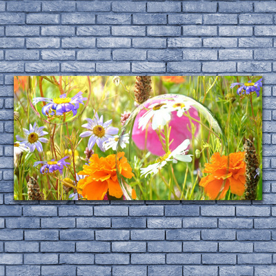 Acrylglasbilder Blumen Natur