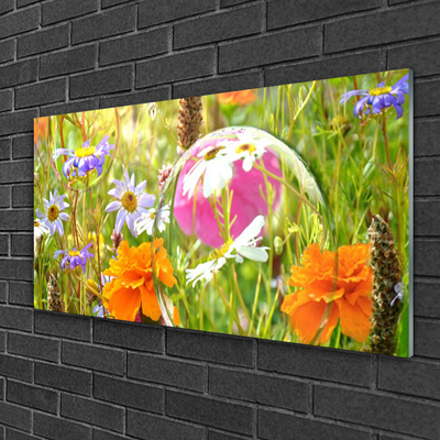 Acrylglasbilder Blumen Natur