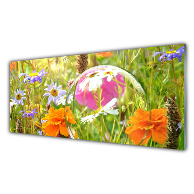 Acrylglasbilder Blumen Natur