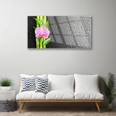 Acrylglasbilder Bambusrohre Blume Pflanzen