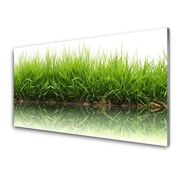 Acrylglasbilder Gras Natur