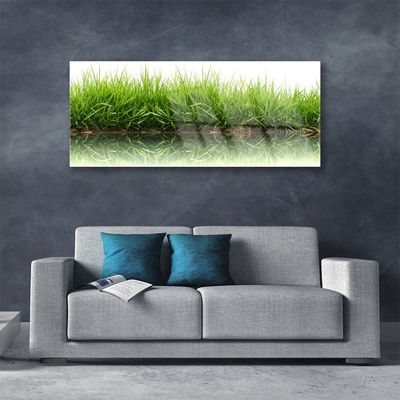 Acrylglasbilder Gras Natur