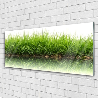 Acrylglasbilder Gras Natur