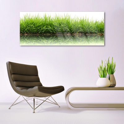 Acrylglasbilder Gras Natur