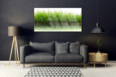 Acrylglasbilder Gras Natur