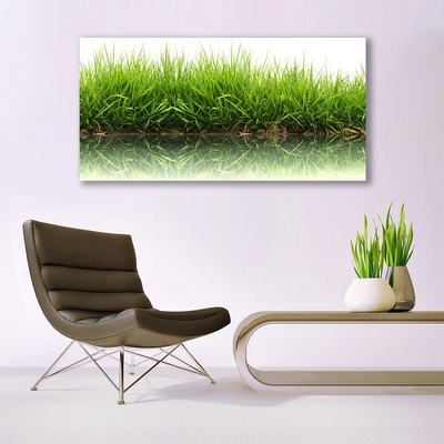 Acrylglasbilder Gras Natur