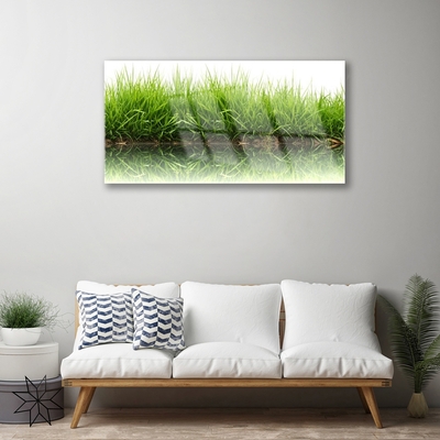 Acrylglasbilder Gras Natur