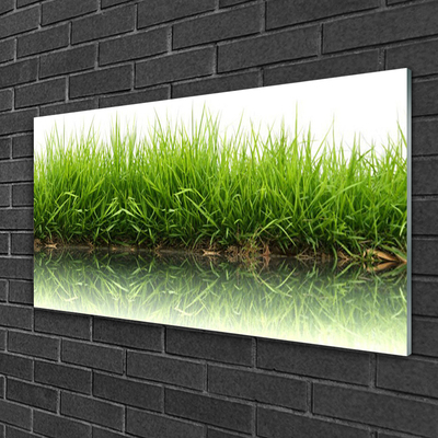 Acrylglasbilder Gras Natur