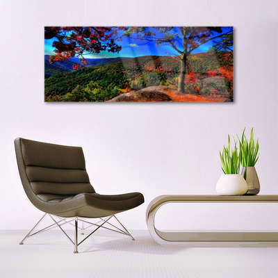 Acrylglasbilder Gebirge Wald Natur