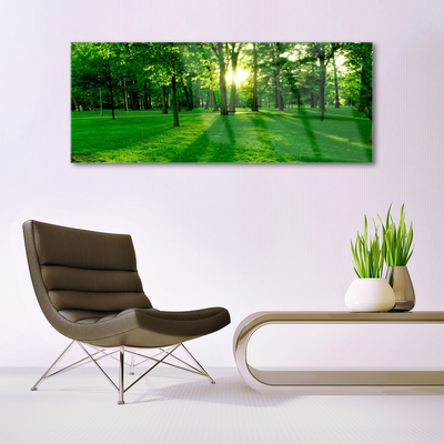 Acrylglasbilder Wald Natur