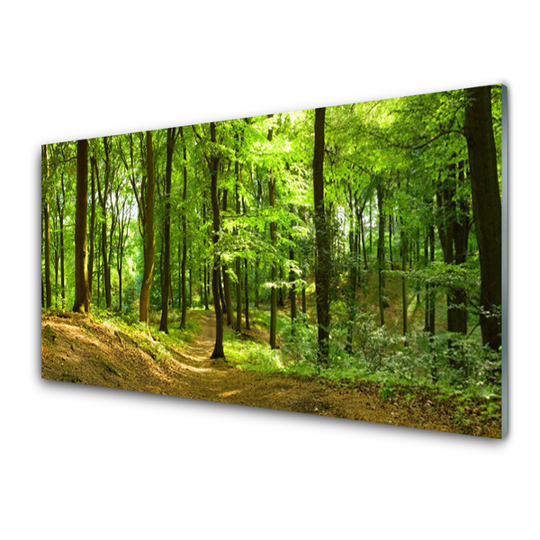 Acrylglasbilder Wald Natur