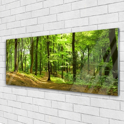 Acrylglasbilder Wald Natur