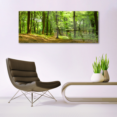 Acrylglasbilder Wald Natur