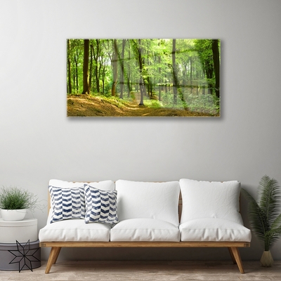 Acrylglasbilder Wald Natur