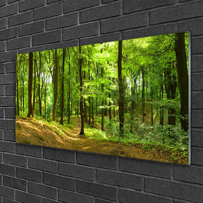 Acrylglasbilder Wald Natur