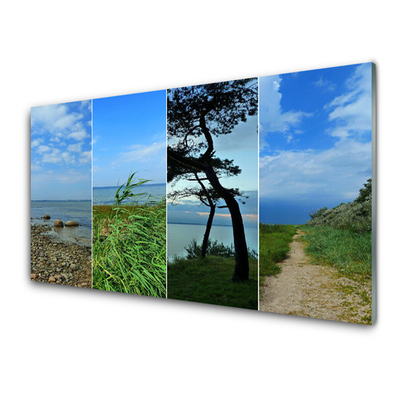Acrylglasbilder Strand Baum Fußpfad Landschaft