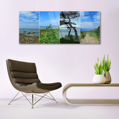 Acrylglasbilder Strand Baum Fußpfad Landschaft