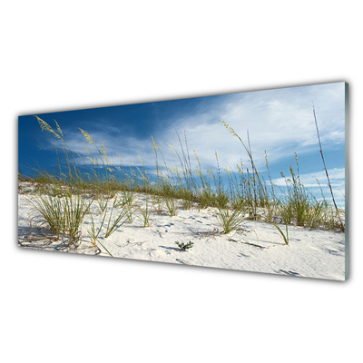 Acrylglasbilder Strand Landschaft