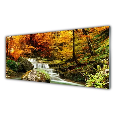Acrylglasbilder Wasserfall Wald Natur