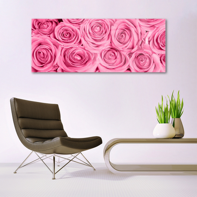 Acrylglasbilder Rosen Pflanzen