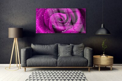 Acrylglasbilder Rose Pflanzen
