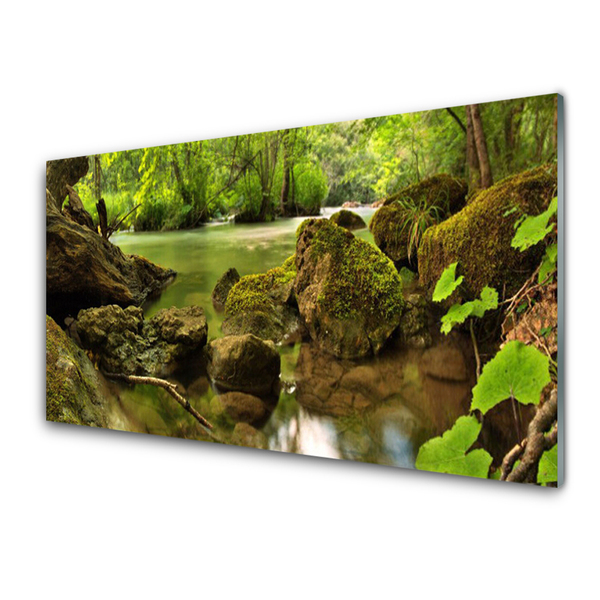 Acrylglasbilder Felsen See Natur