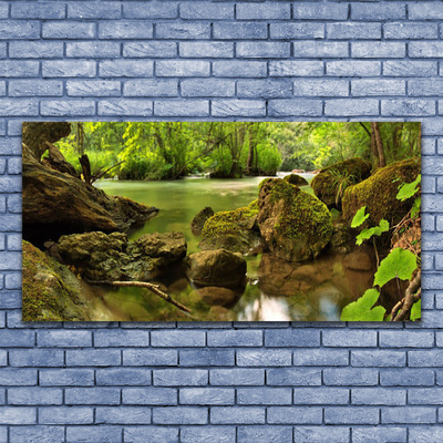 Acrylglasbilder Felsen See Natur