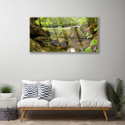 Acrylglasbilder Felsen See Natur
