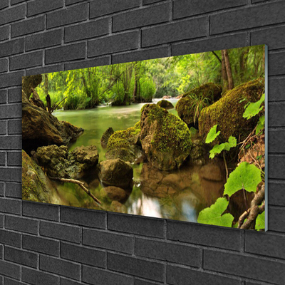 Acrylglasbilder Felsen See Natur