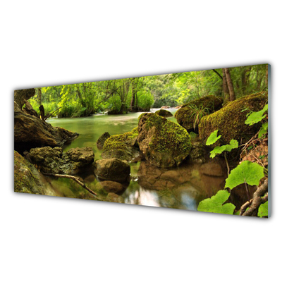 Acrylglasbilder Felsen See Natur