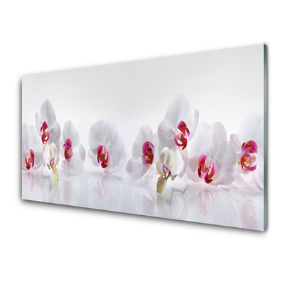 Acrylglasbilder Blumen Pflanzen