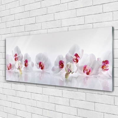 Acrylglasbilder Blumen Pflanzen